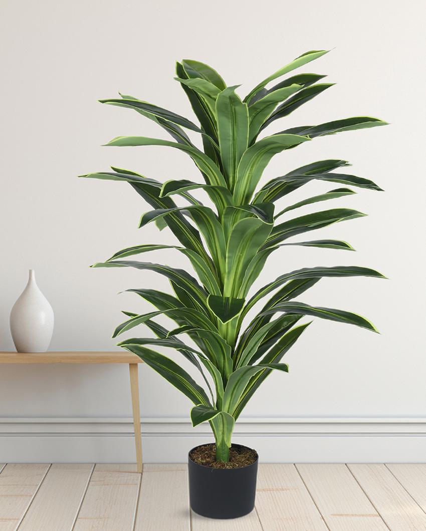 Dracaena Real Touch Artificial Plant with Black Pot