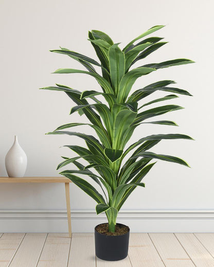 Dracaena Real Touch Artificial Plant with Black Pot