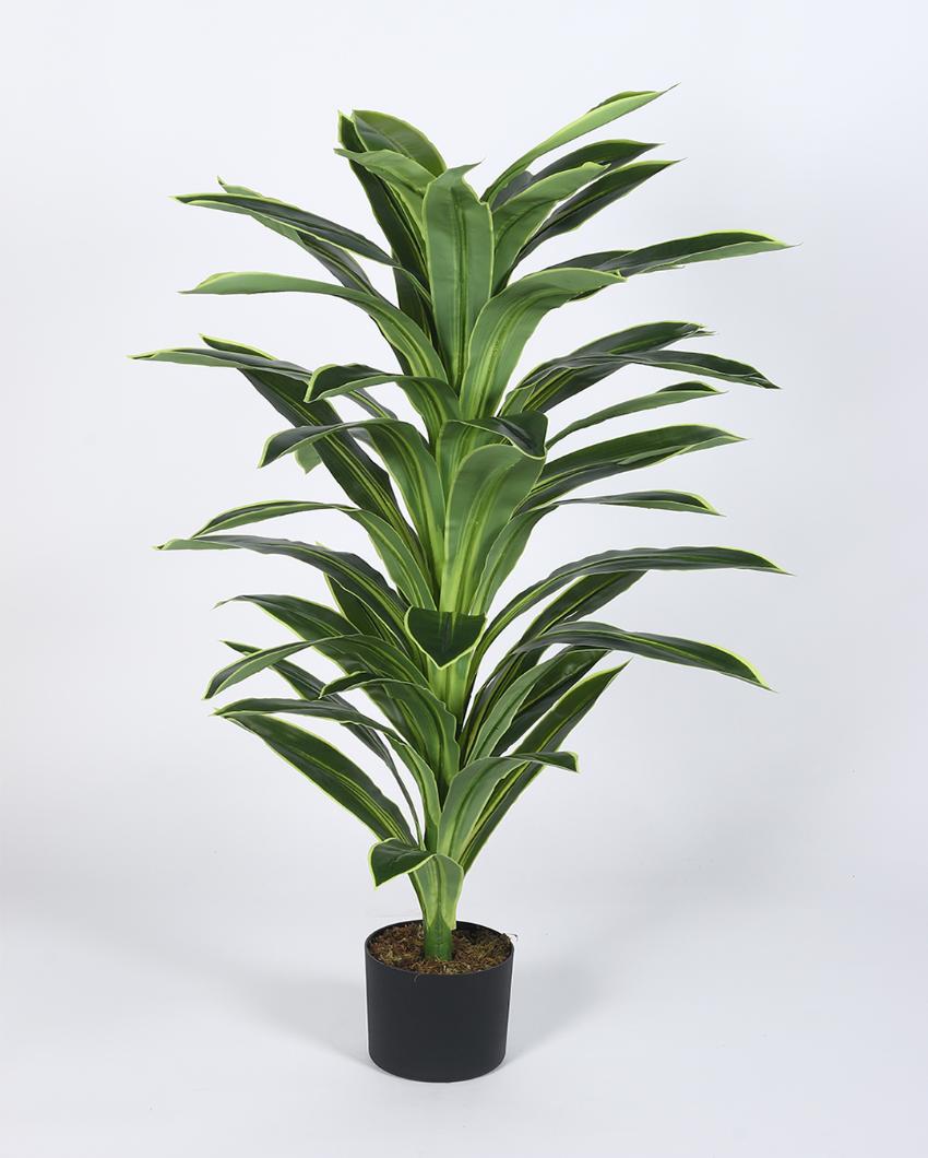 Dracaena Real Touch Artificial Plant with Black Pot