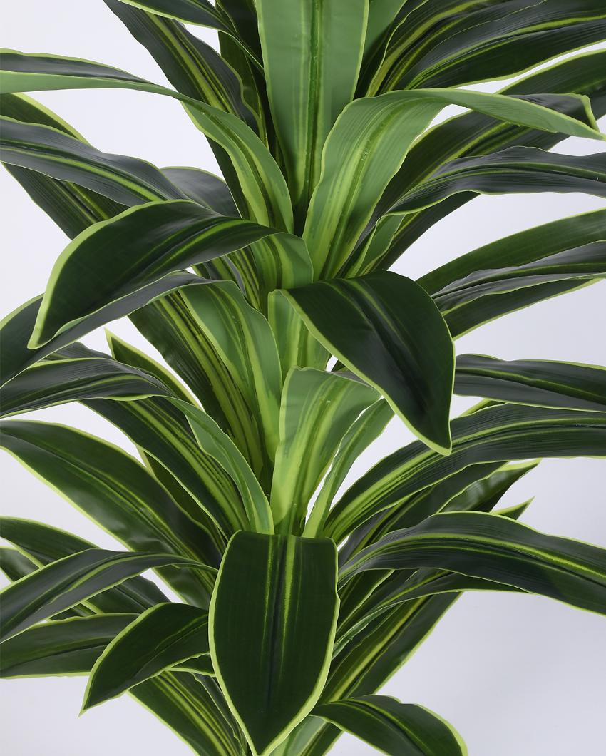 Dracaena Real Touch Artificial Plant with Black Pot