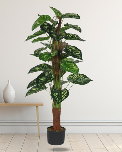 Calathea Real Touch Artificial Plant with Black Pot | 4 ft