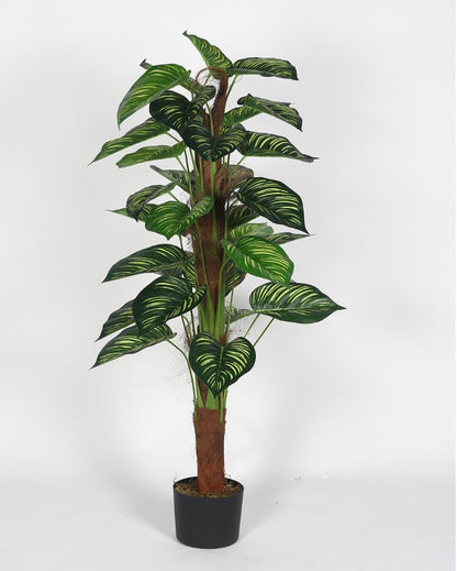 Calathea Real Touch Artificial Plant with Black Pot | 4 ft