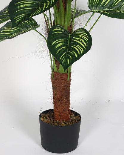 Calathea Real Touch Artificial Plant with Black Pot | 4 ft