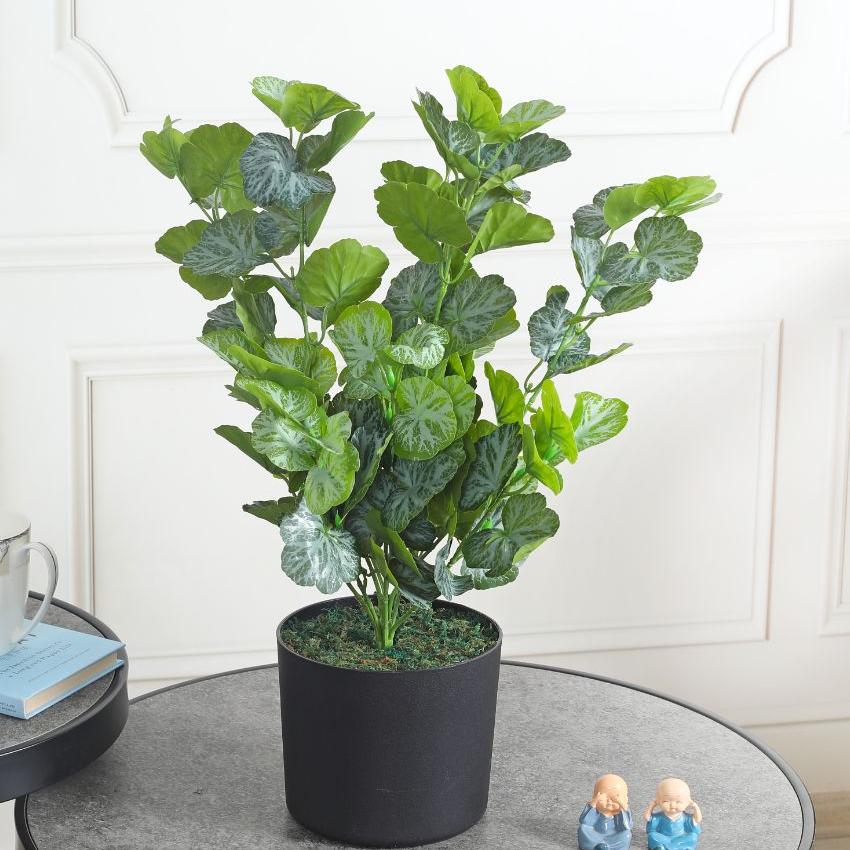 Begonia Green Artificial Plant with Pot | 2 Feet