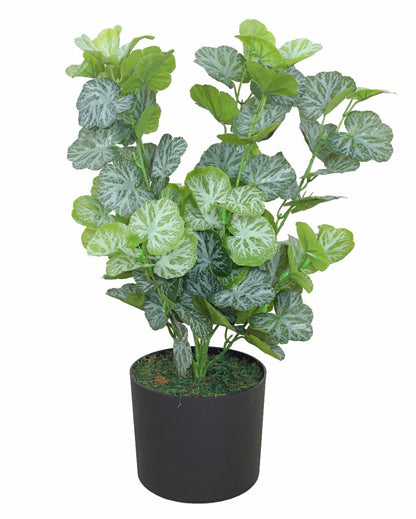 Begonia Green Artificial Plant with Pot | 2 Feet