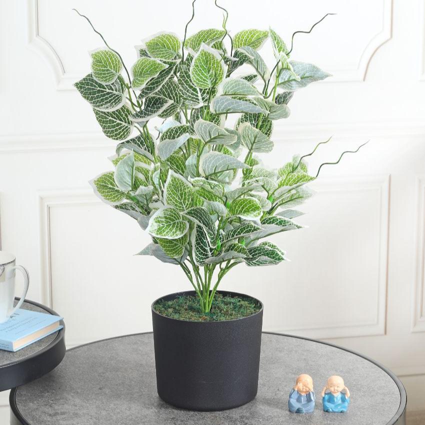 Money Green Artificial Plant with Pot | 2 Feet