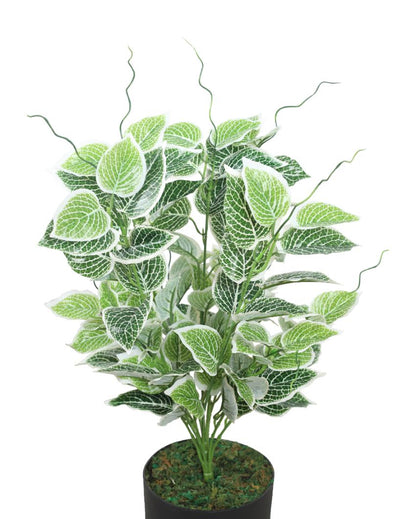 Money Green Artificial Plant with Pot | 2 Feet