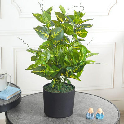 Pothos Green Artificial Plant with Pot | 2 Feet