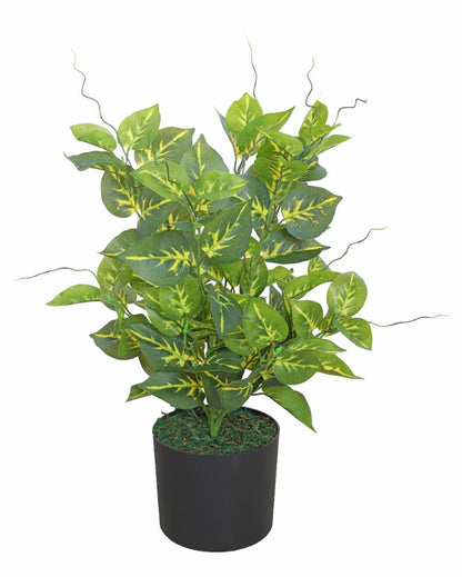 Pothos Green Artificial Plant with Pot | 2 Feet