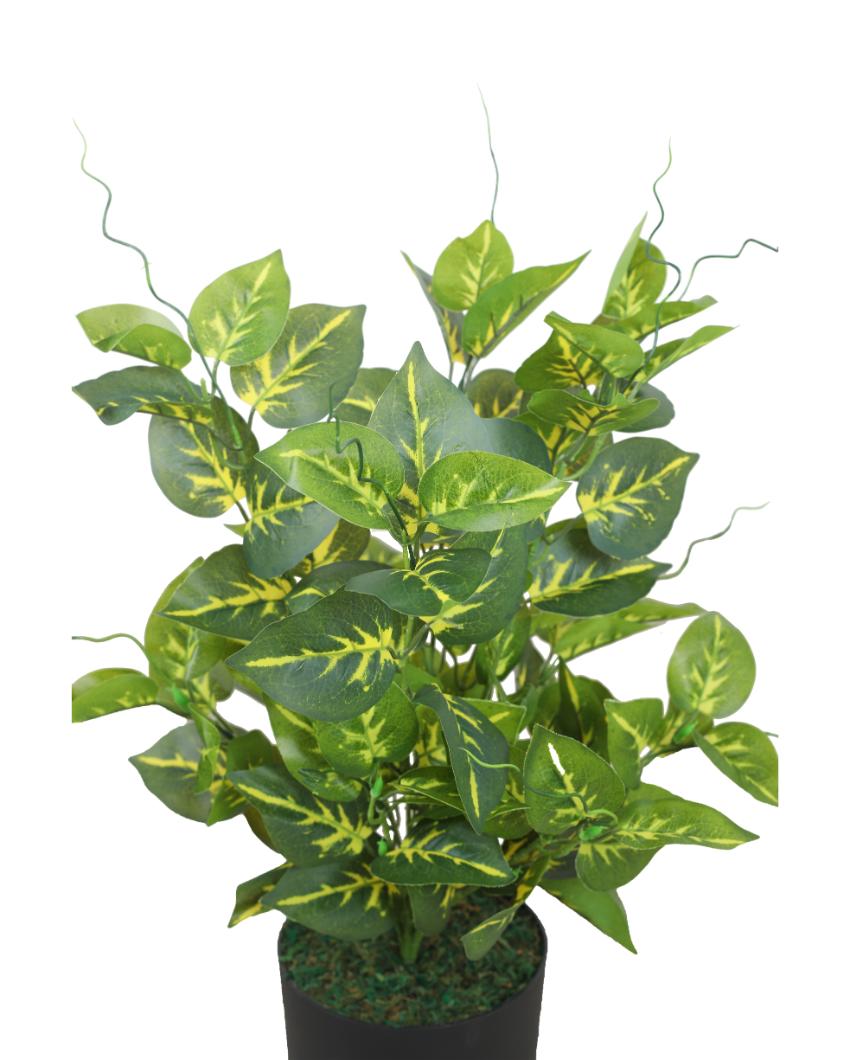 Pothos Green Artificial Plant with Pot | 2 Feet