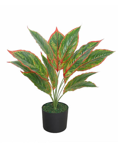 Lvs Red Artificial Plant with Pot | 2 Feet