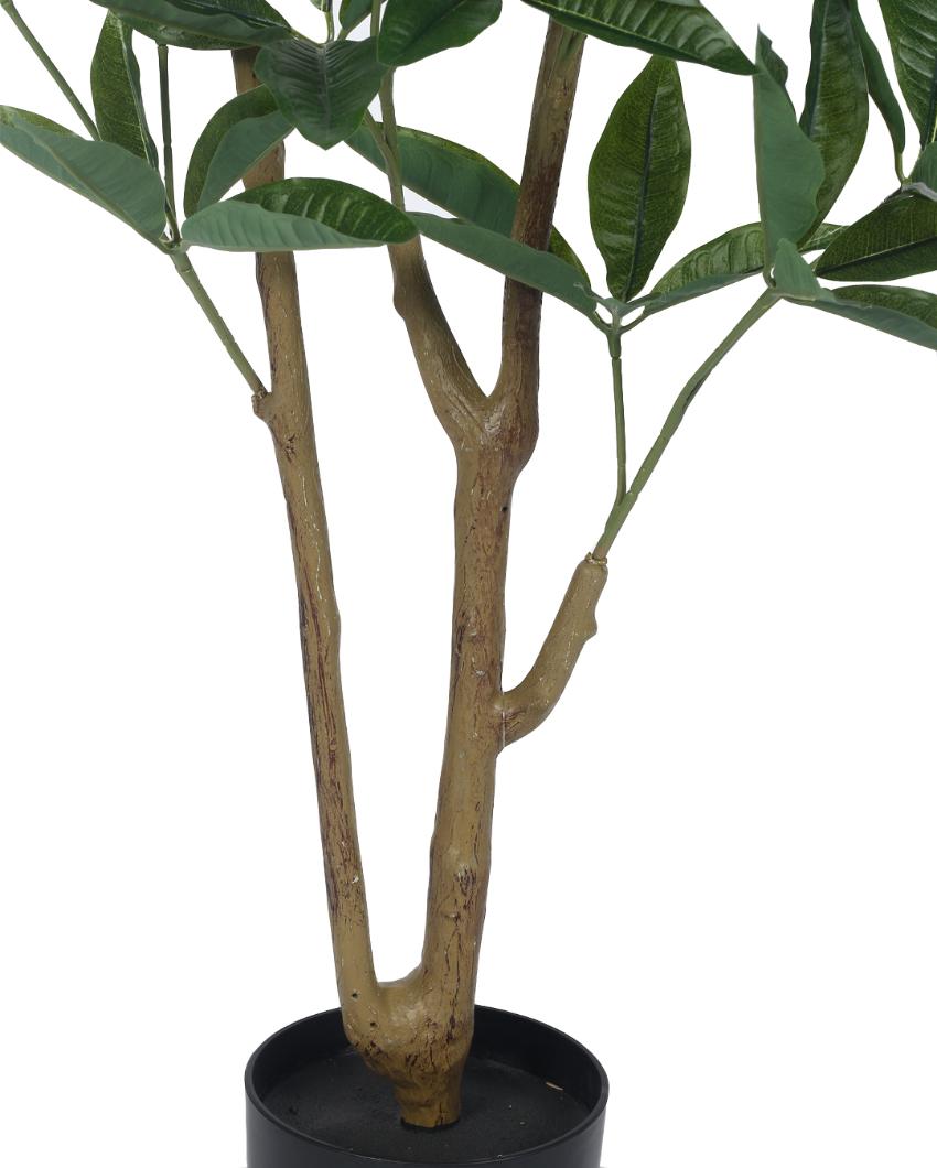 Pachira Real Touch Artificial Plant with Black Pot | 4 ft