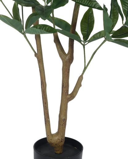 Pachira Real Touch Artificial Plant with Black Pot | 4 ft