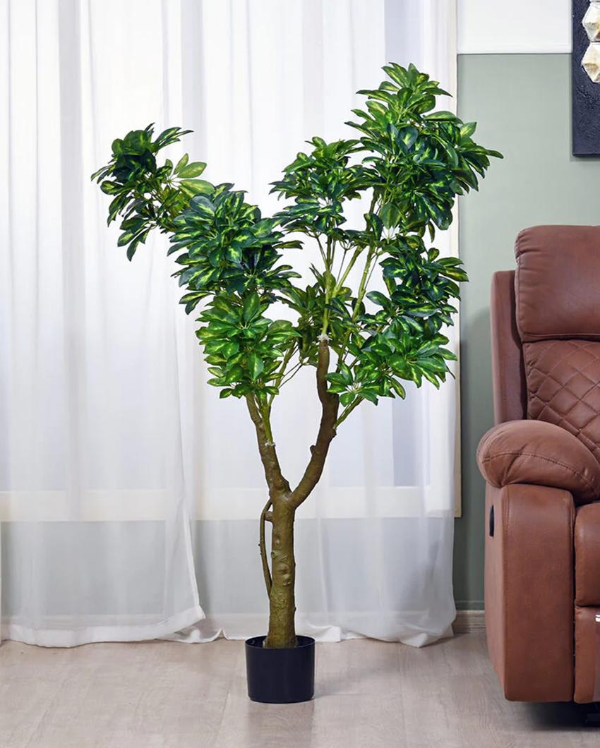 Schefflera Artificial Plant with Black Pot | 5 ft