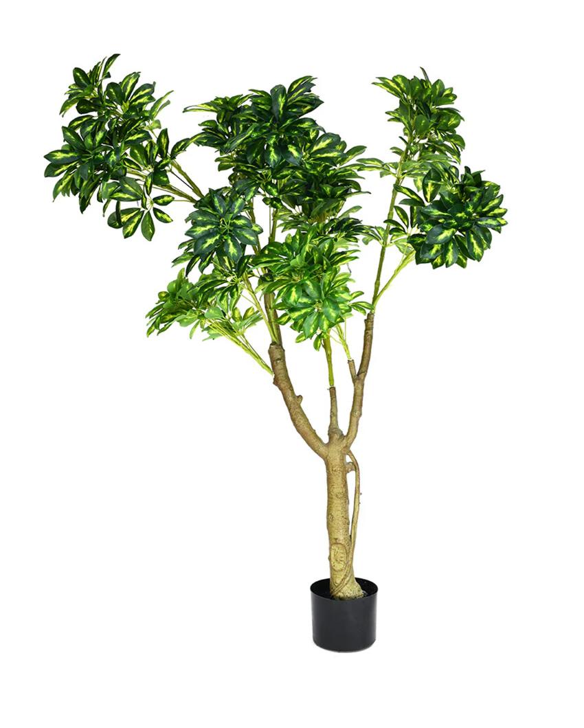 Schefflera Artificial Plant with Black Pot | 5 ft