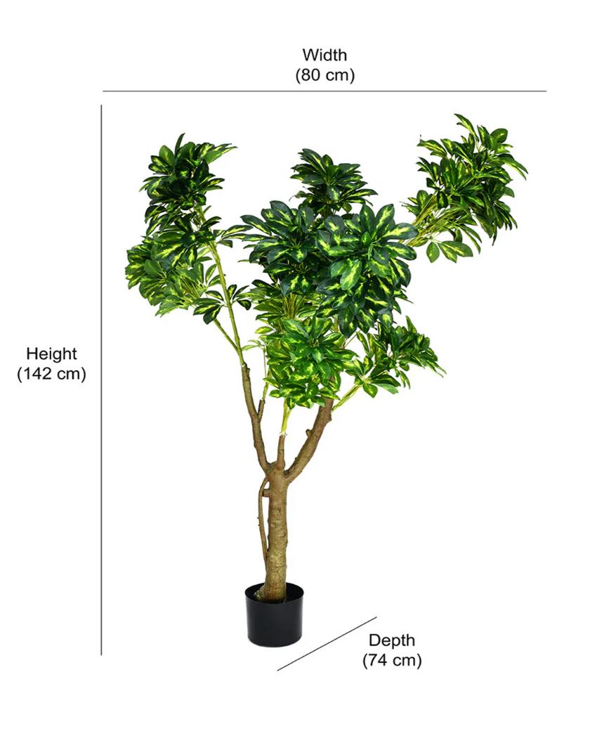 Schefflera Artificial Plant with Black Pot | 5 ft