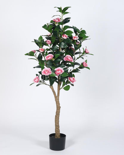 Camellia Rose Real Touch Artificial Flower Plant with Black Pot | 5 ft