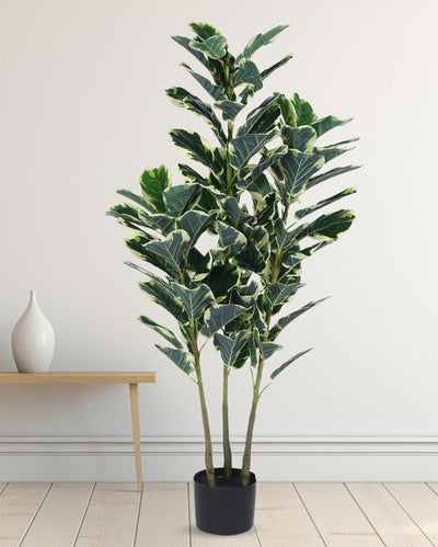 Variegated Fiddle Leaf Real Touch Artificial Plant with Black Pot | 5 ft