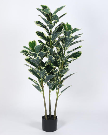 Variegated Fiddle Leaf Real Touch Artificial Plant with Black Pot | 5 ft