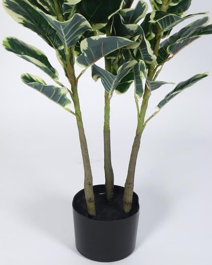 Variegated Fiddle Leaf Real Touch Artificial Plant with Black Pot | 5 ft