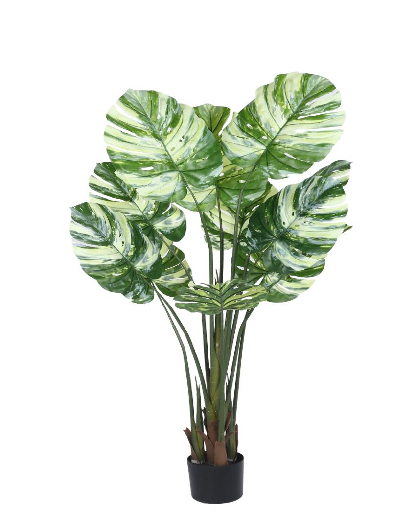 Monstera Real Touch Artificial Plant with Black Pot | 5 ft