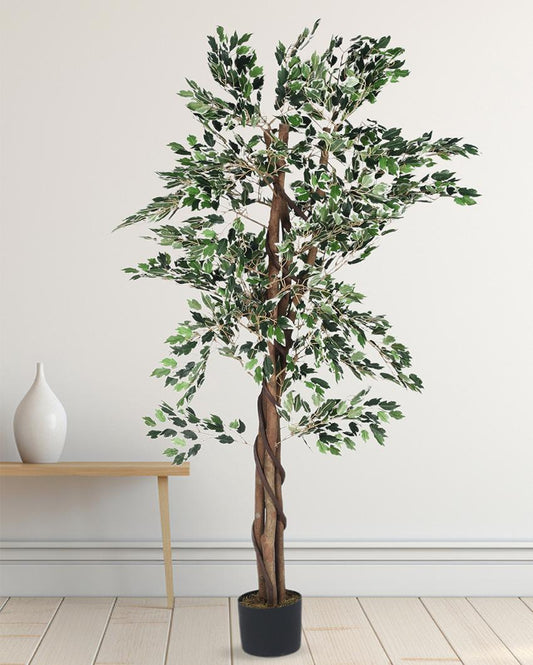 Ficus Artificial Plant with Black Pot | 5 ft