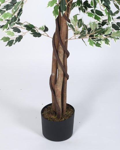 Ficus Artificial Plant with Black Pot | 5 ft