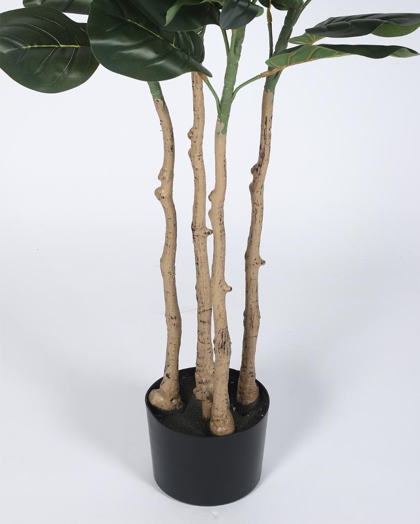 Fiddle Leaf Real Touch Artificial Plant with Black Pot | 6 ft