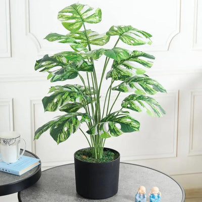 Monstera Yellow Artificial Plant with Pot | 2 Feet
