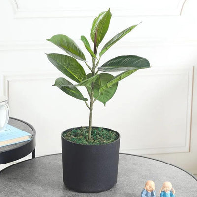 Classy Rubber Green Artificial Plant with Pot | 1 Feet