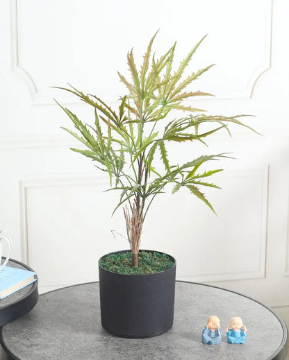 Feng Green Artificial Plant with Pot | 2 Feet