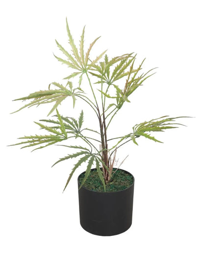 Feng Green Artificial Plant with Pot | 2 Feet