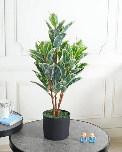 Diefenbachia Green Artificial Plant with Pot | 2 Feet