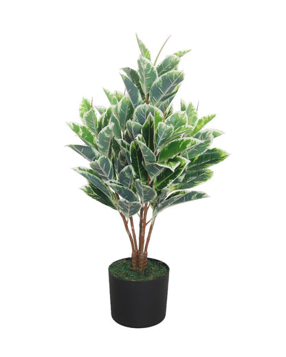 Diefenbachia Green Artificial Plant with Pot | 2 Feet