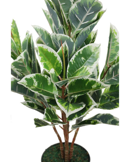 Diefenbachia Green Artificial Plant with Pot | 2 Feet