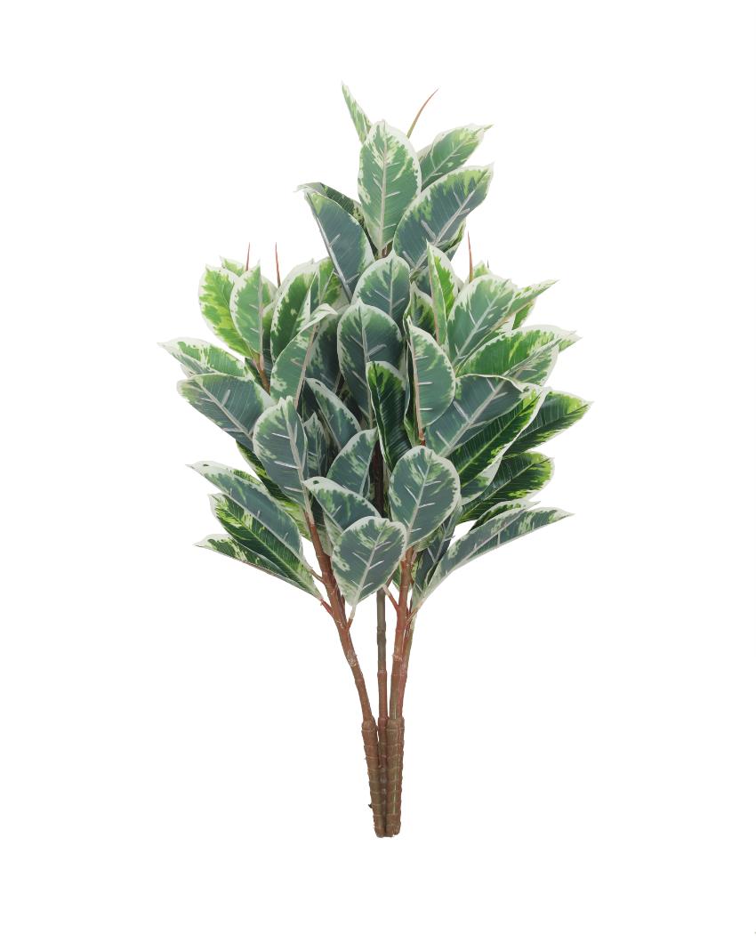 Diefenbachia Green Artificial Plant with Pot | 2 Feet