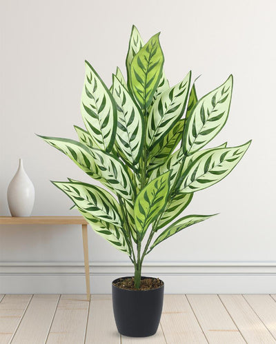 Croton Artificial Plant with Black Pot | 2 ft