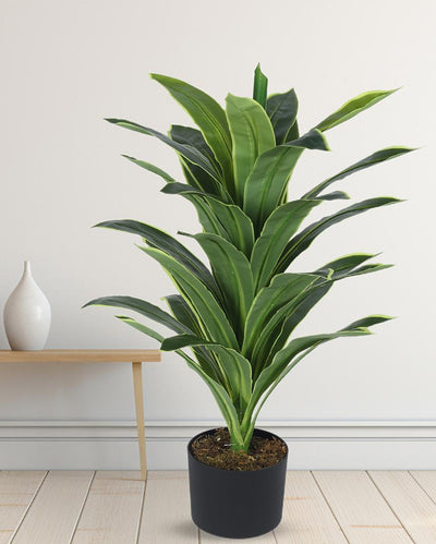 Dracaena Real Touch Artificial Plant with Black Pot