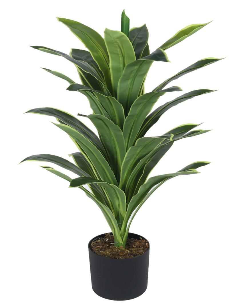 Dracaena Real Touch Artificial Plant with Black Pot