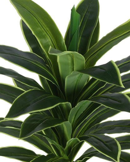 Dracaena Real Touch Artificial Plant with Black Pot