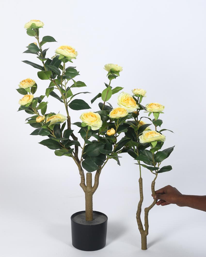 Rose Camellia Real Touch Artificial Flower Plant with Black Pot | 3 ft