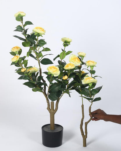 Rose Camellia Real Touch Artificial Flower Plant with Black Pot | 3 ft