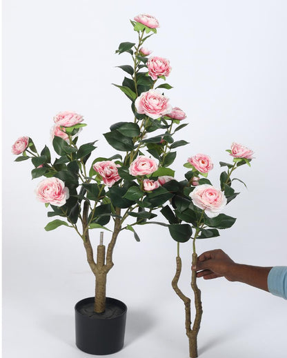 Rose Camellia Real Touch Artificial Flower Plant with Black Pot | 3 ft