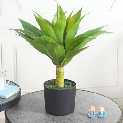 Classy Agave Green Artificial Plant with Pot | 2 Feet