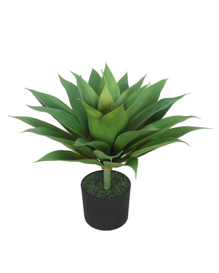 Classic Agave Green Artificial Plant with Pot | 2 Feet