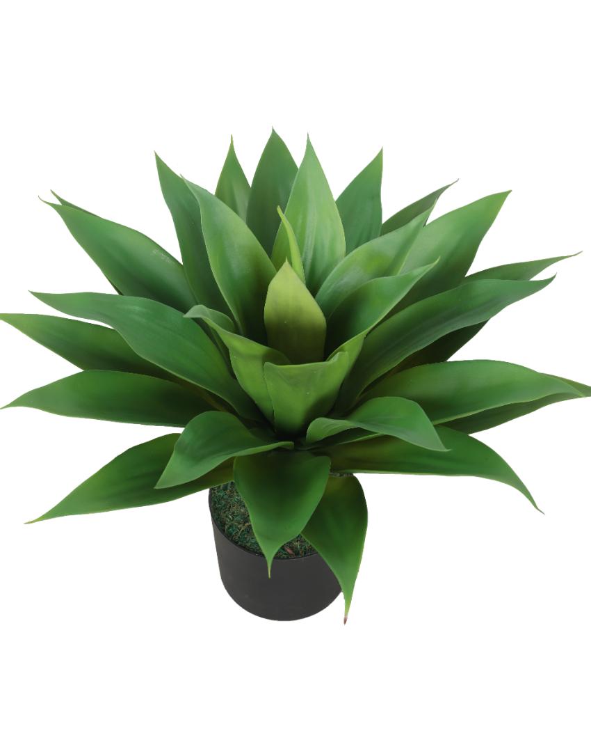 Classic Agave Green Artificial Plant with Pot | 2 Feet