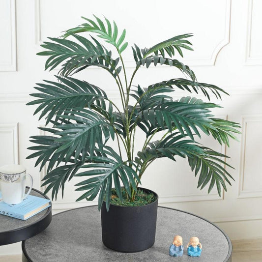 Arica Palm Green Artificial Plant with Pot | 2.5 Feet