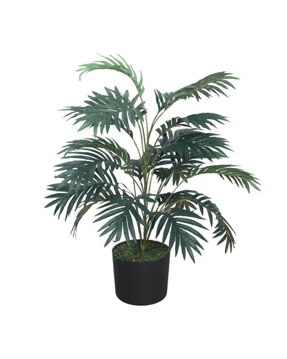 Arica Palm Green Artificial Plant with Pot | 3 Feet