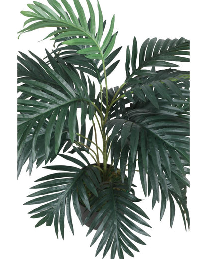 Arica Palm Green Artificial Plant with Pot | 3 Feet