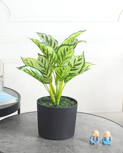 Dieffenbachia Green Artificial Plant with Pot | 1 Feet